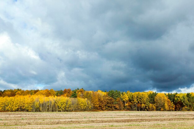 Nature in autumn season