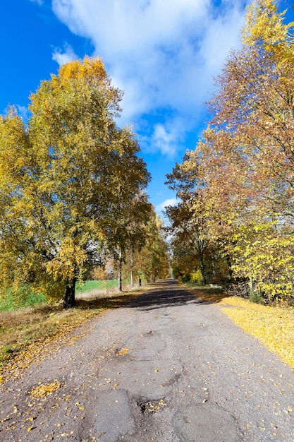 Nature in autumn season