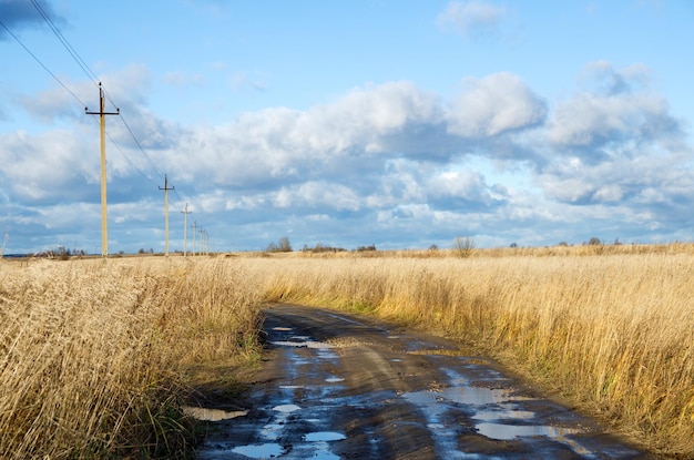 nature in the autumn season