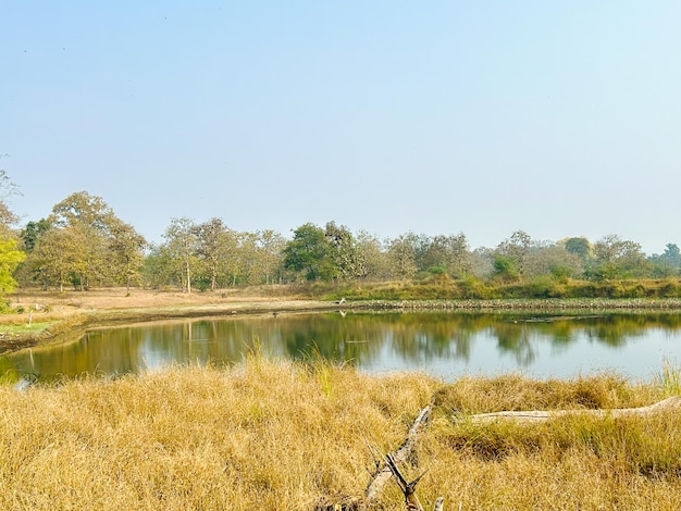 nature background photoshoot without filters