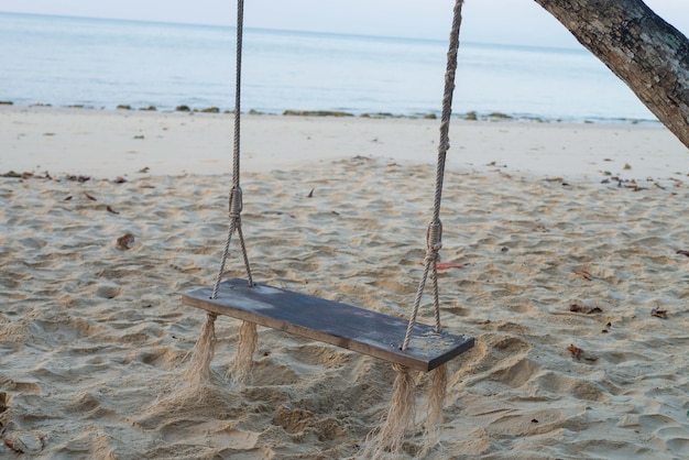 Nature background of the swing on coconut palm tree at seashore beach coastline for holiday relaxation lifestyle landscape concept