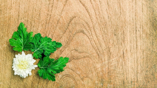 Nature background of white flower on old wooden