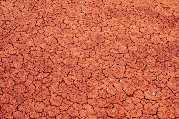 Nature background with cracks on clay