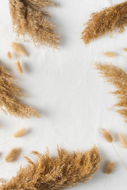 Nature background with dry flower and grass flat lay on white background