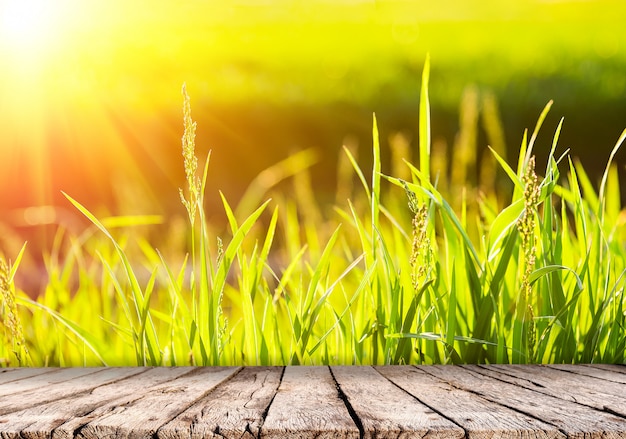 Photo nature background with green grass at sunset and wooden table top