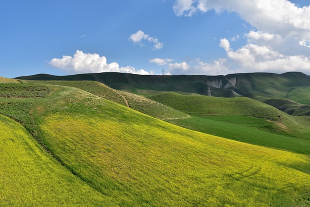 Foto sfondo della natura