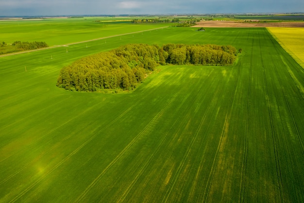 Nature of Belarus aerial view