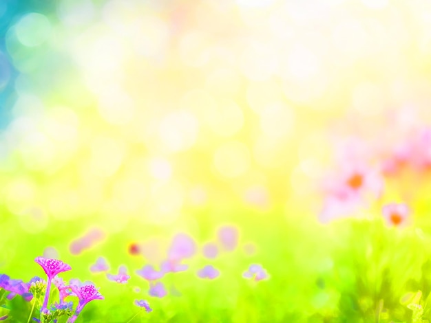 Photo nature bokeh blurred background image download