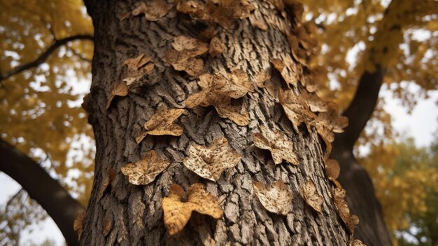 Nature in change visible on a tree