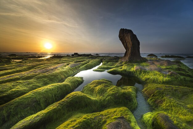 Foto natura della costa