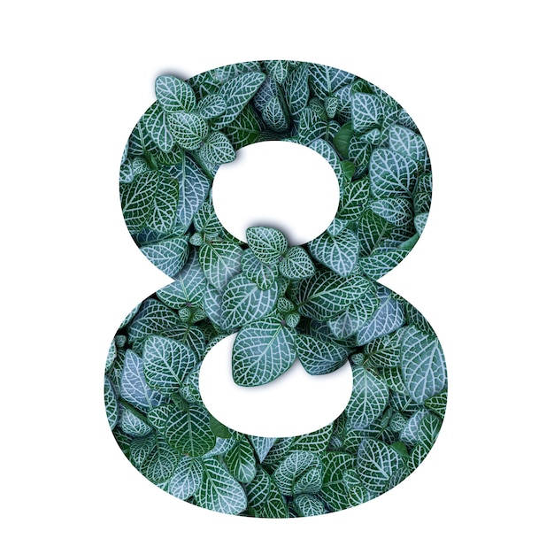 사진 번호 8 모양에 녹색 잎의 자연 개념 알파벳
