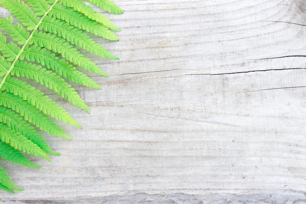 Foto concetto di natura su uno sfondo di legno modello di felce naturale perfetto bellissimo sfondo fatto con giovani foglie di felce verde