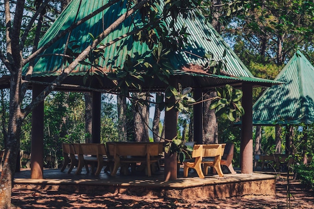 Nature coniferous mix deciduous forest park open view background Gazebo gable green roof canopy stone benches Rain protect Summer sun day trees shadow sky Travel peace lifestyle leisure backyard