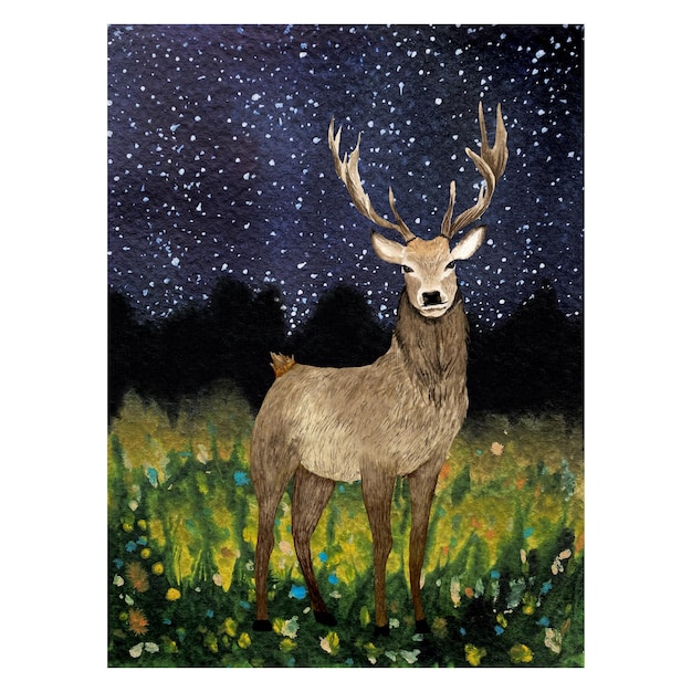 Nature deer night field background sketch. A watercolor illustration. Hand drawn texture. Isolated.