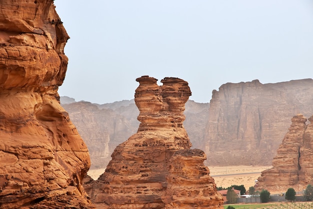 Nature in the desert close Al Ula in Saudi Arabia