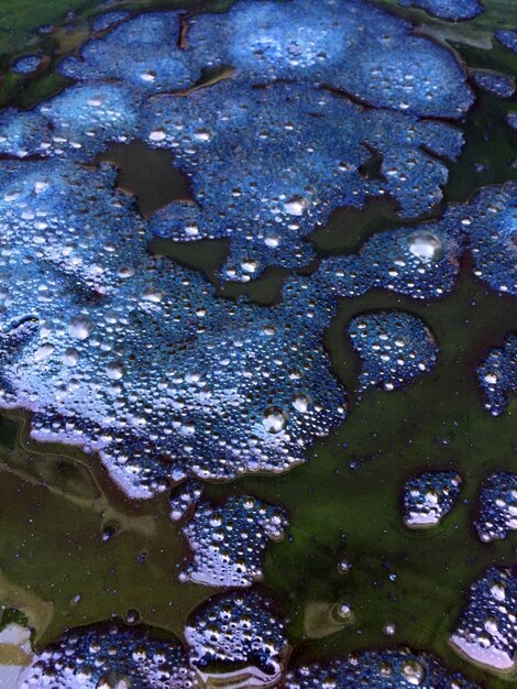 Foto tessuto colorante naturale con acqua di indaco