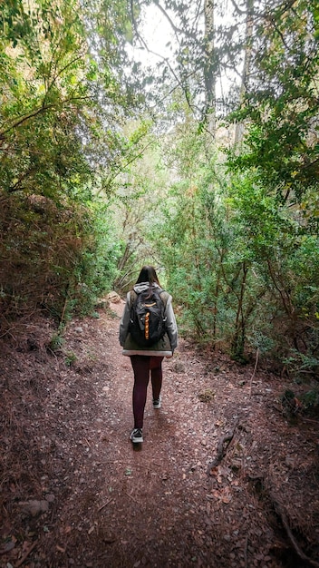 Исследование природы Молодая женщина, проходящая через ущелья Бесейте в прекрасный день в Теруэле Арагон