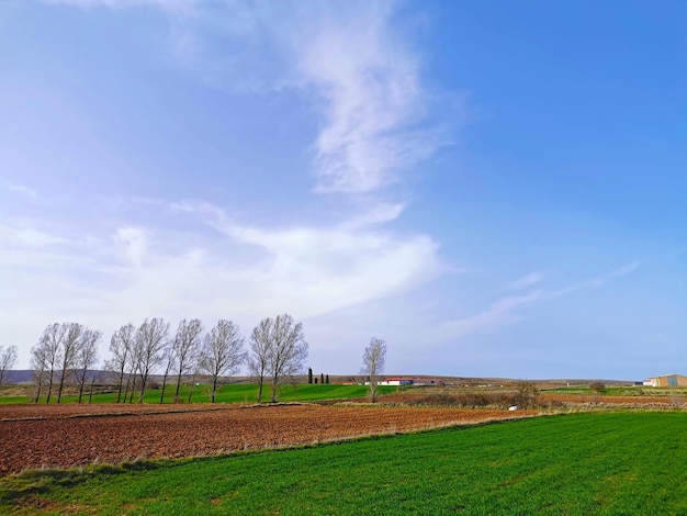 Natura terreno fertile per le colture agricole