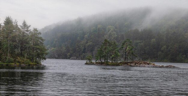 The nature of foggy autumn day in the Norway Mountains. Little rocky island overgrown with pines in the lake