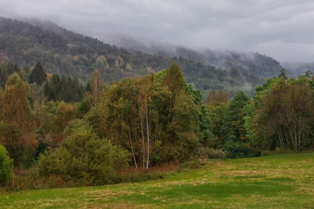 ノルウェーの山々の霧の秋の性質