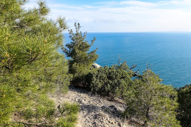 Nature on the Golitsyn trail Landscapes the Black Sea and the Crimean mountains in greenery Crimea