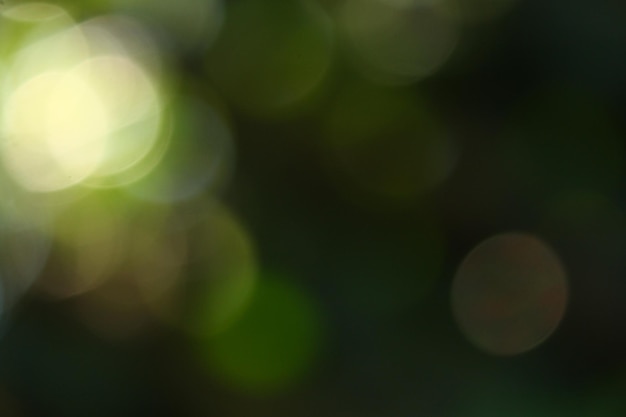 Nature green bokeh effect