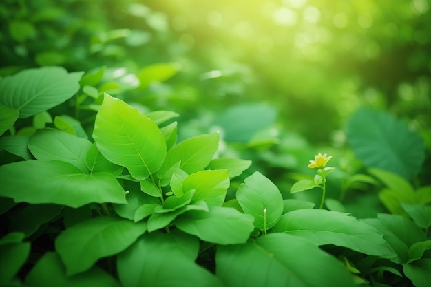 夏の庭の緑の葉の性質 春の背景として使用する自然の緑の葉の植物 表紙環境生態学または緑の壁紙