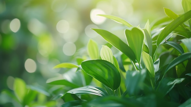 庭の緑の葉の自然 春の緑葉の植物を生み出す人工知能