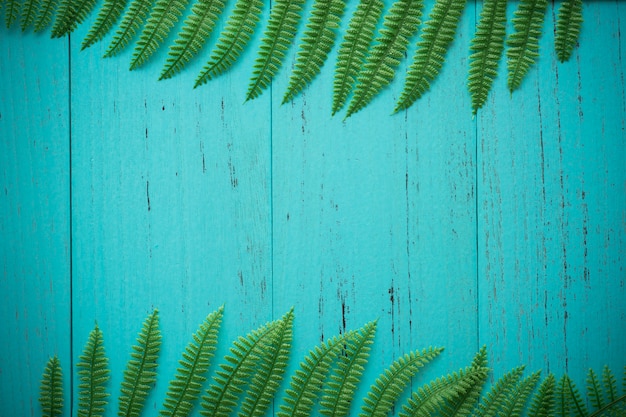 Nature green leaf with shappy wood