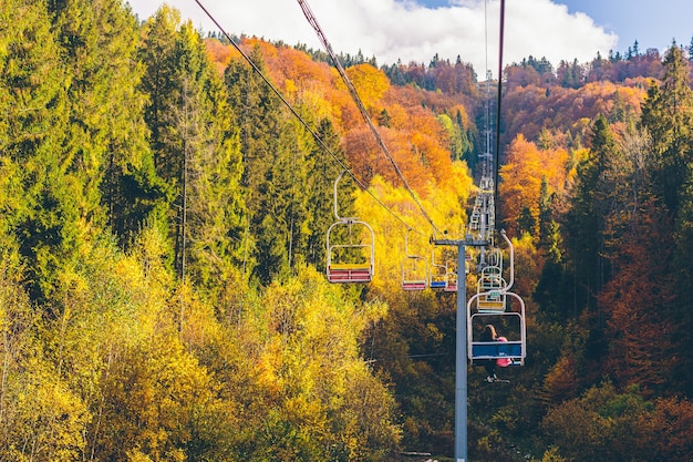 nature landscape of autumn forest and mountains