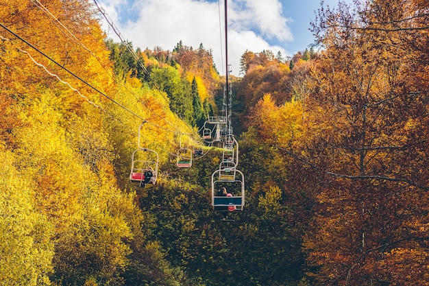 秋の森と山々の自然景観