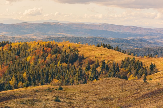 秋の森と山々の自然景観