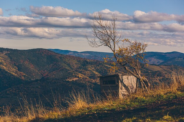 nature landscape of autumn forest and mountains