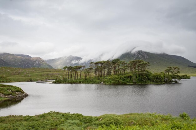концепция природы и ландшафта - вид на остров в озере или реке в долине ирландии