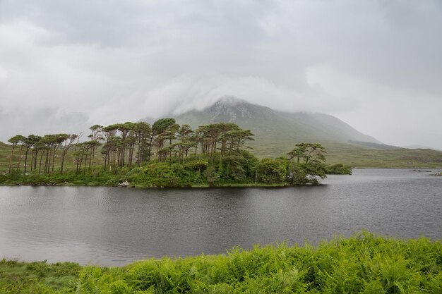 nature and landscape concept - view to to island in lake or river in ireland valley