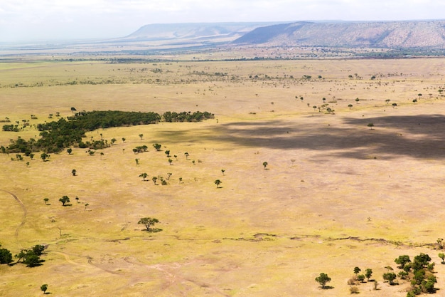 Foto concetto di natura, paesaggio, ambiente e fauna selvatica - vista sulla savana della riserva nazionale di maasai mara in africa
