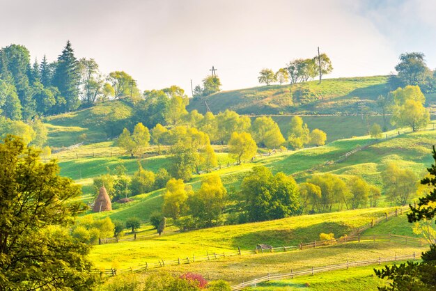 Nature landscape of green hills