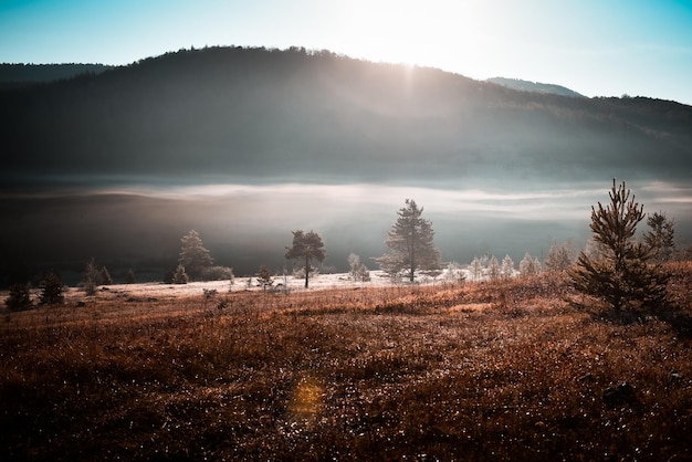 Nature landscape, morning