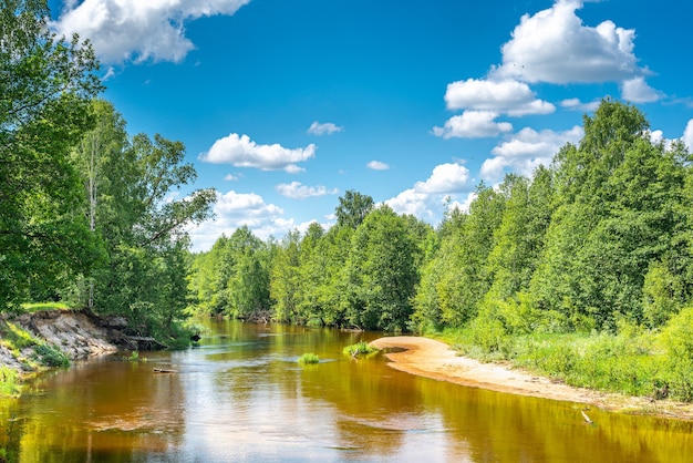 Nature landscape photography forest river clean scenery environment space of summer clear weather day. landscape forest river summer. Green Nature Landscape.