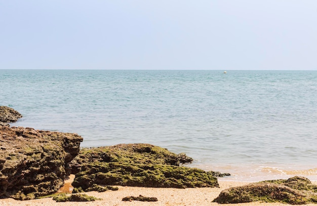 写真 晴れた日の美しい海岸の景色で美しい熱帯のビーチと海の自然の風景を見る