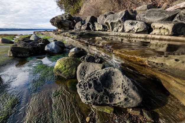 カナダの岩の多い海岸の自然の風景の景色