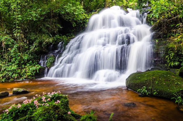 Nature landscape of waterfall hidden in the forest