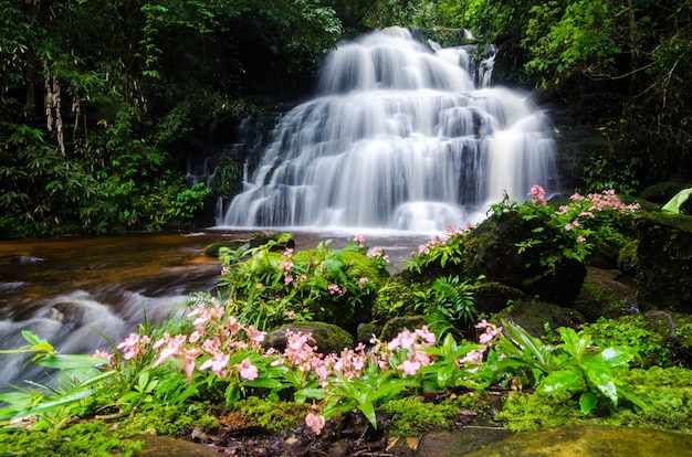 Nature landscape of waterfall hidden in the tropical, Thailand