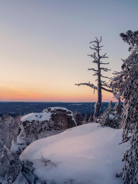 写真 自然風景 冬の森 雪の崖