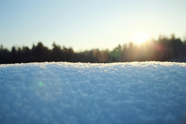 nature landscape winter forest frosted