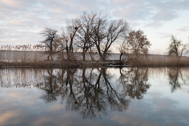 강 중앙 우크라이나의 자연 풍경 겨울