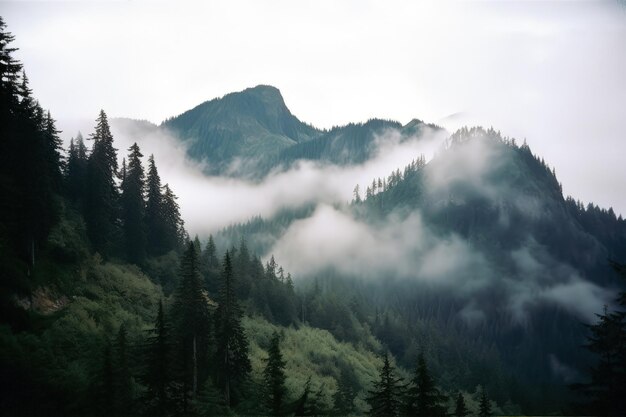 自然の風景