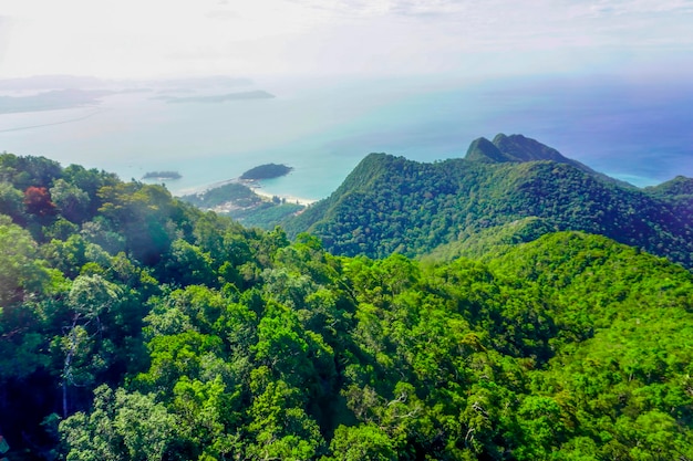 말레이시아의 랑카위 섬의 자연 산과 정글