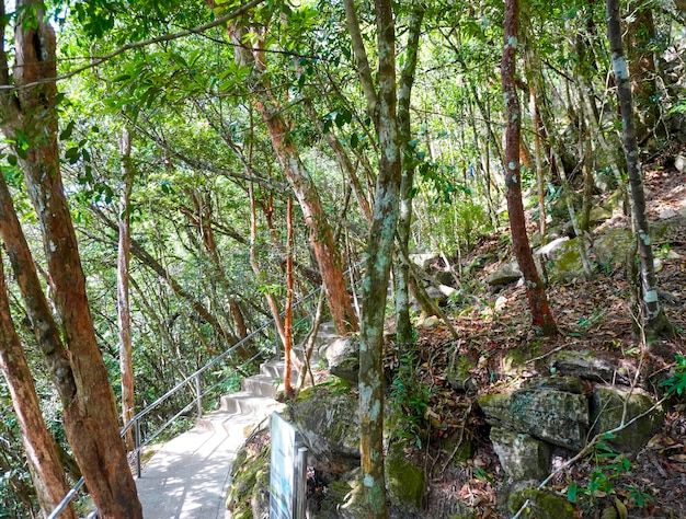 Nature of Langkawi island in Malaysia Mountains and jungle