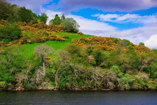 Natura del lago di loch ness in scozia. loch ness è una città delle highlands scozzesi nel regno unito.